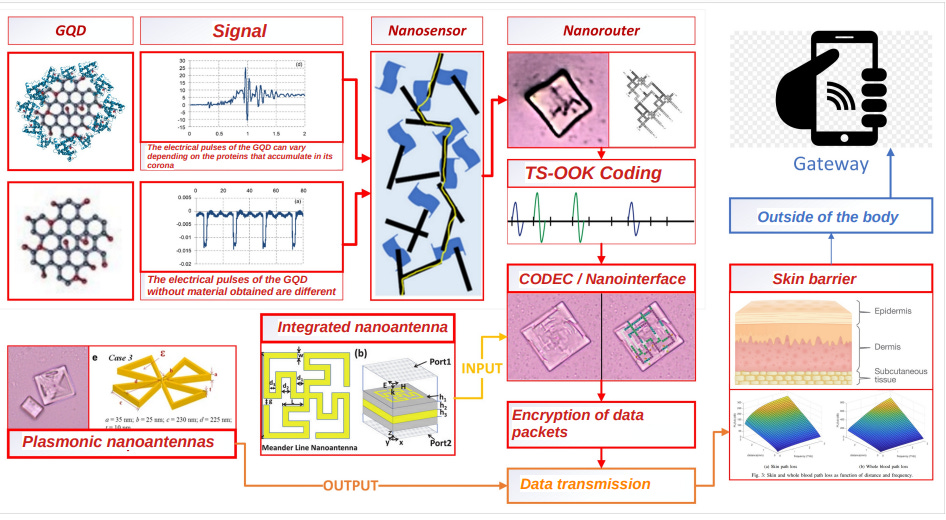A BIOMETRIC CONTROL GRID Inside Every Human On Earth