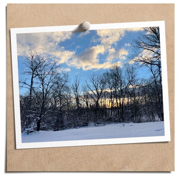 First Snow 2022 First Snow 2022