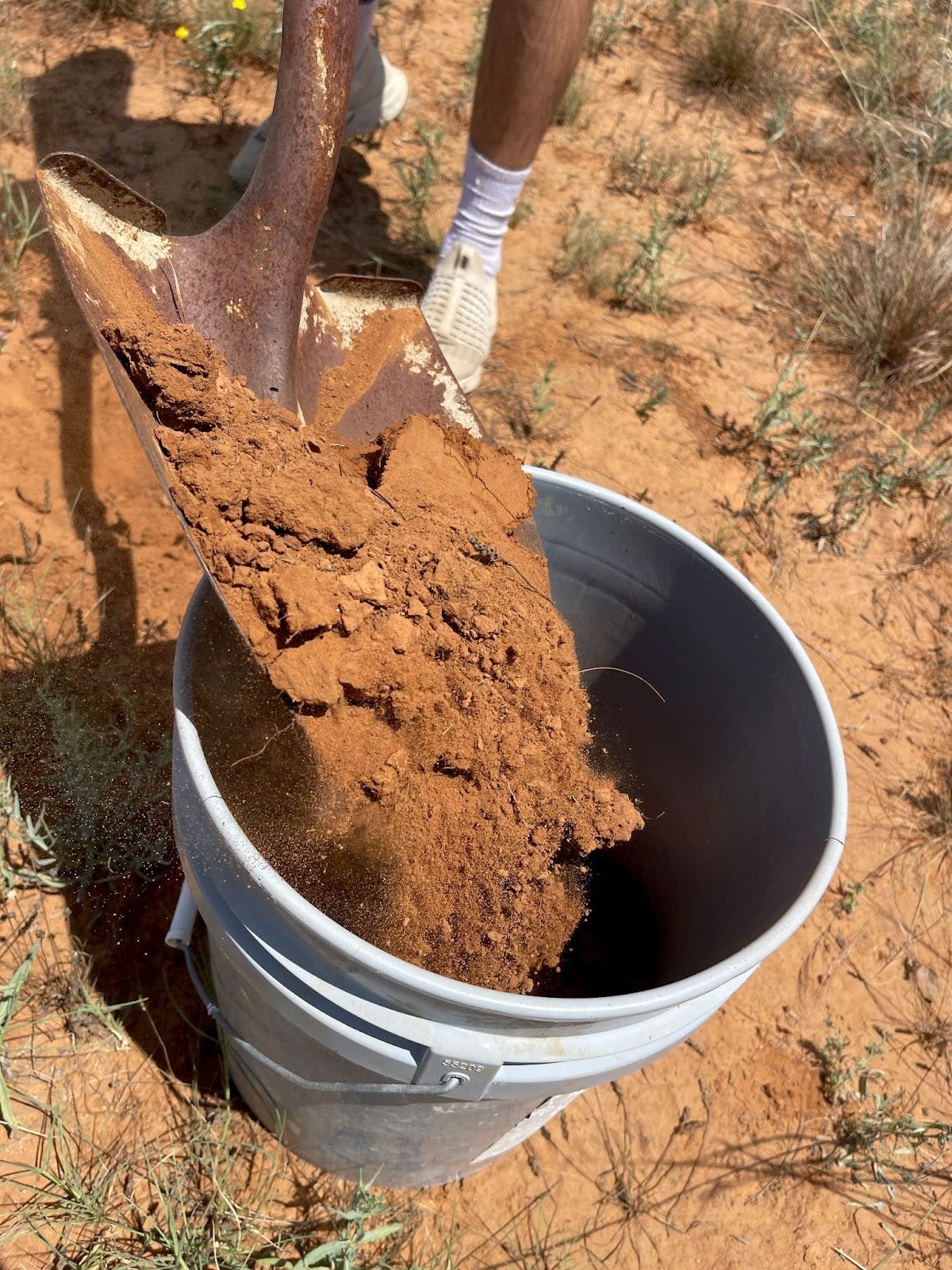 Close-up view of a person’s lower legs standing outdoors beside a bucket on the ground as they tip a spade to pour iron-rich red soil into it. The soil has a warm, rusty hue. The caption explains that it was collected from the Llano Estacado and that its color comes from oxidized iron in Miocene-age sediments of the Ogallala Formation, shaped by long exposure to oxygen and minimal leaching.