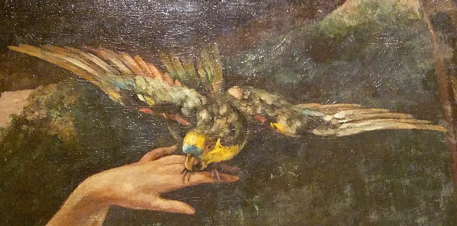 Birdwatching at Making the Met 1870-2020 — Susan Kirby Birdwatching at Making the Met 1870-2020 — Susan Kirby