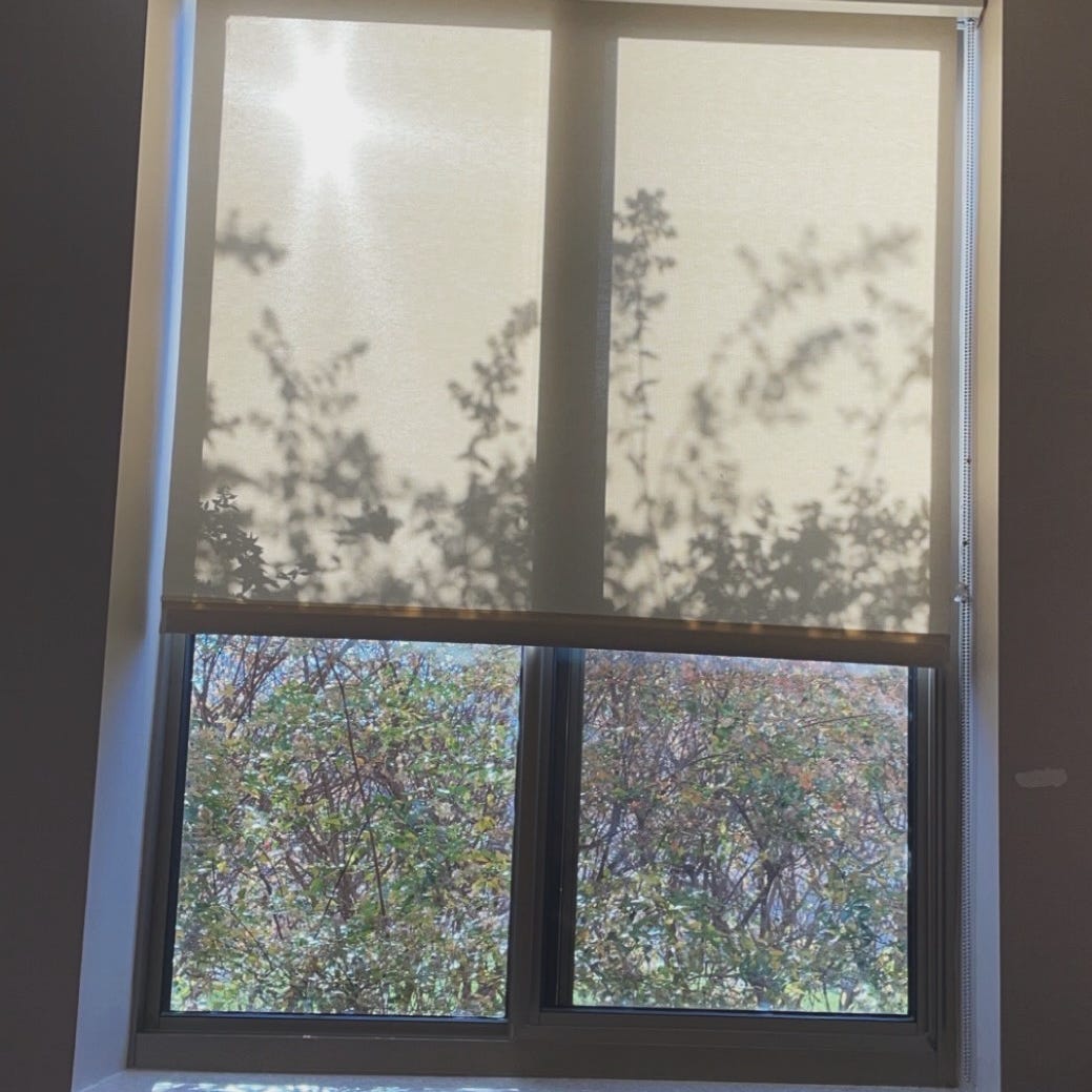 Musings from a wandering sleepwalker 