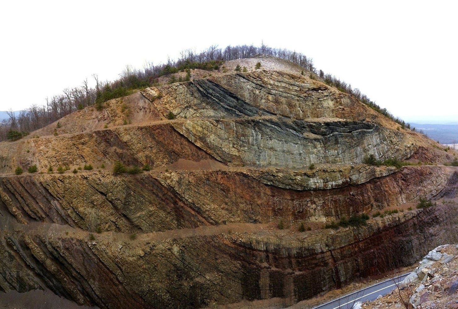 a big cross section of rock revealed in road construction.  it shows big layers bent into a 'U" shape.