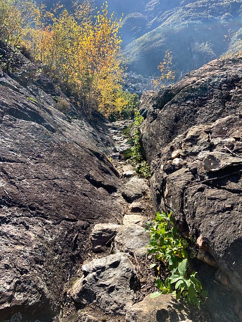 Autumn Walks In The Forests And In The Mountains: The Perfect Escape From City Life