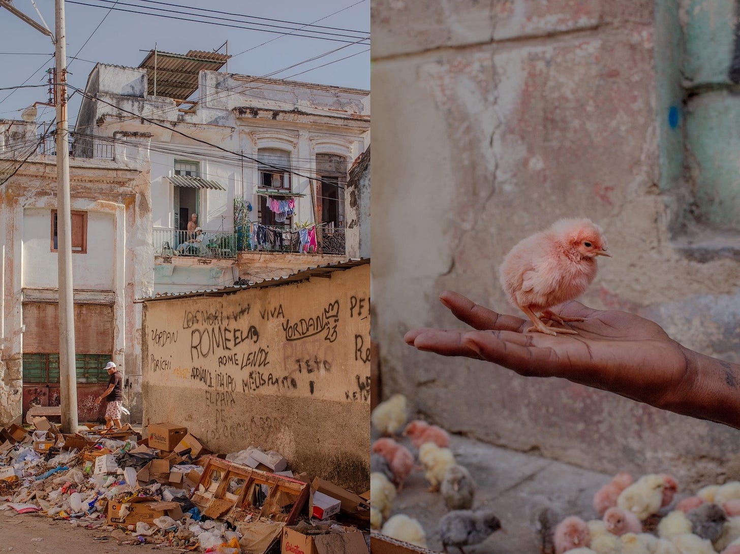 Document image Document image