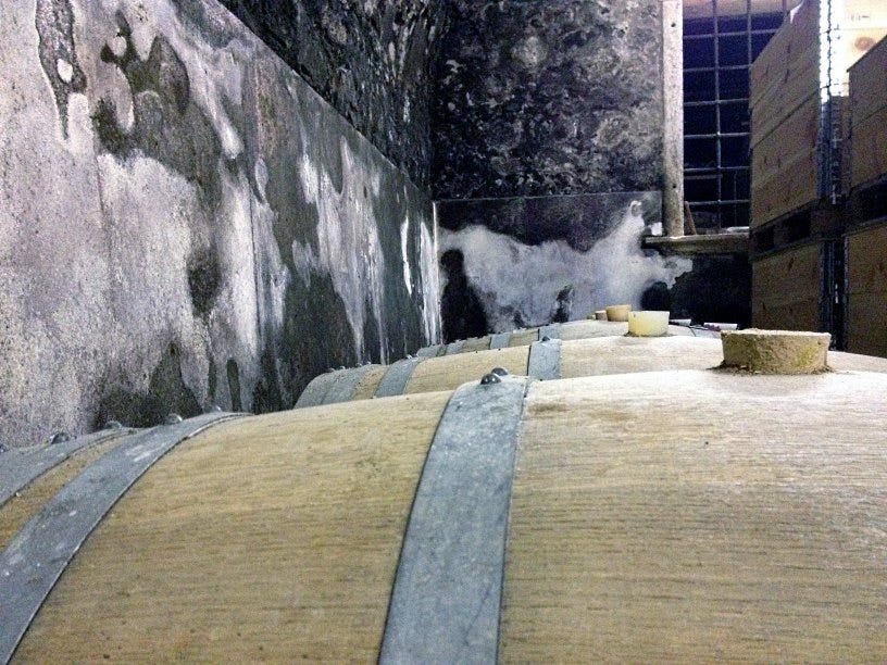 Menti - Albina ageing in barrel (photo courtesy Giovanni Menti) Menti - Albina ageing in barrel (photo courtesy Giovanni Menti)