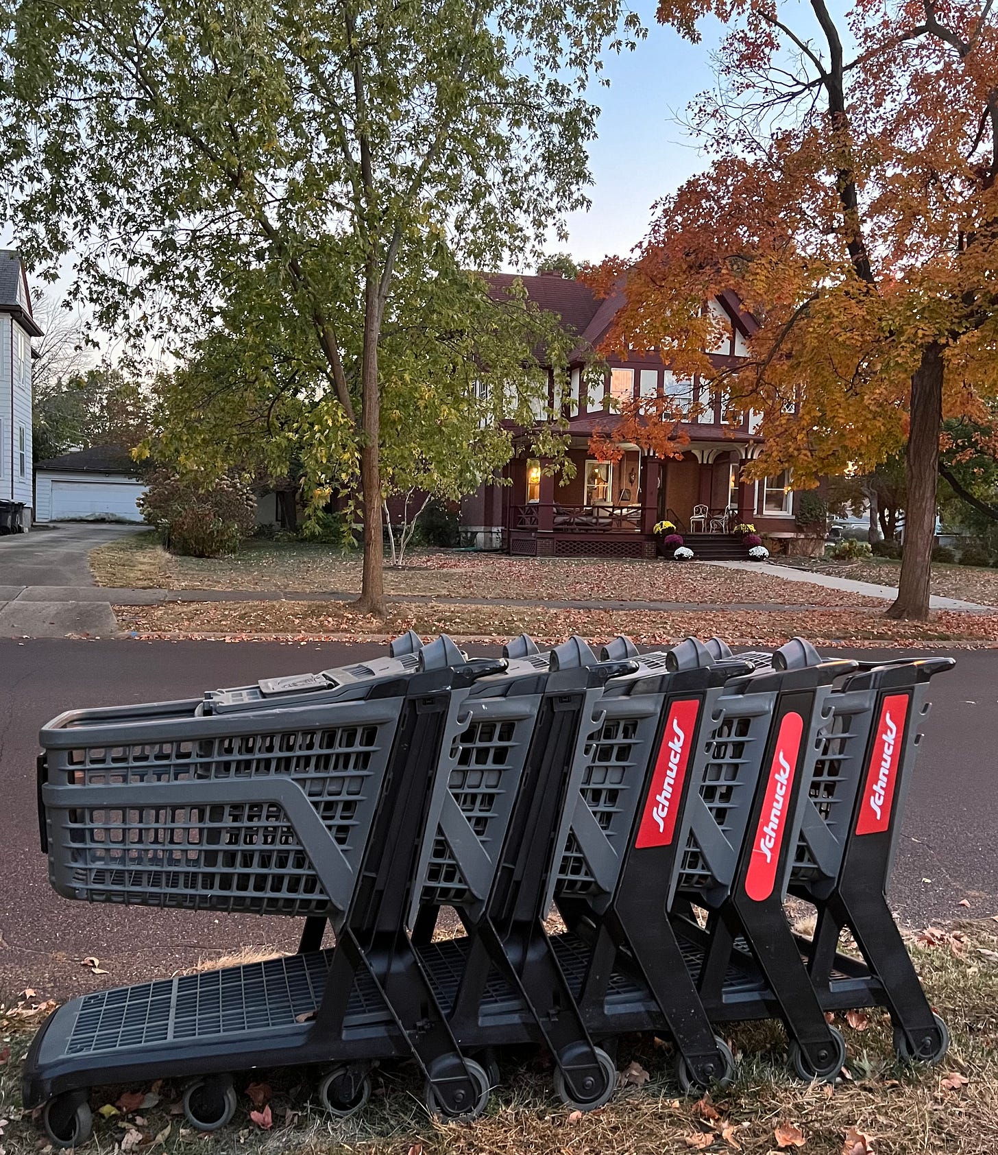 A line of grocery carts in front of a nice house A line of grocery carts in front of a nice house
