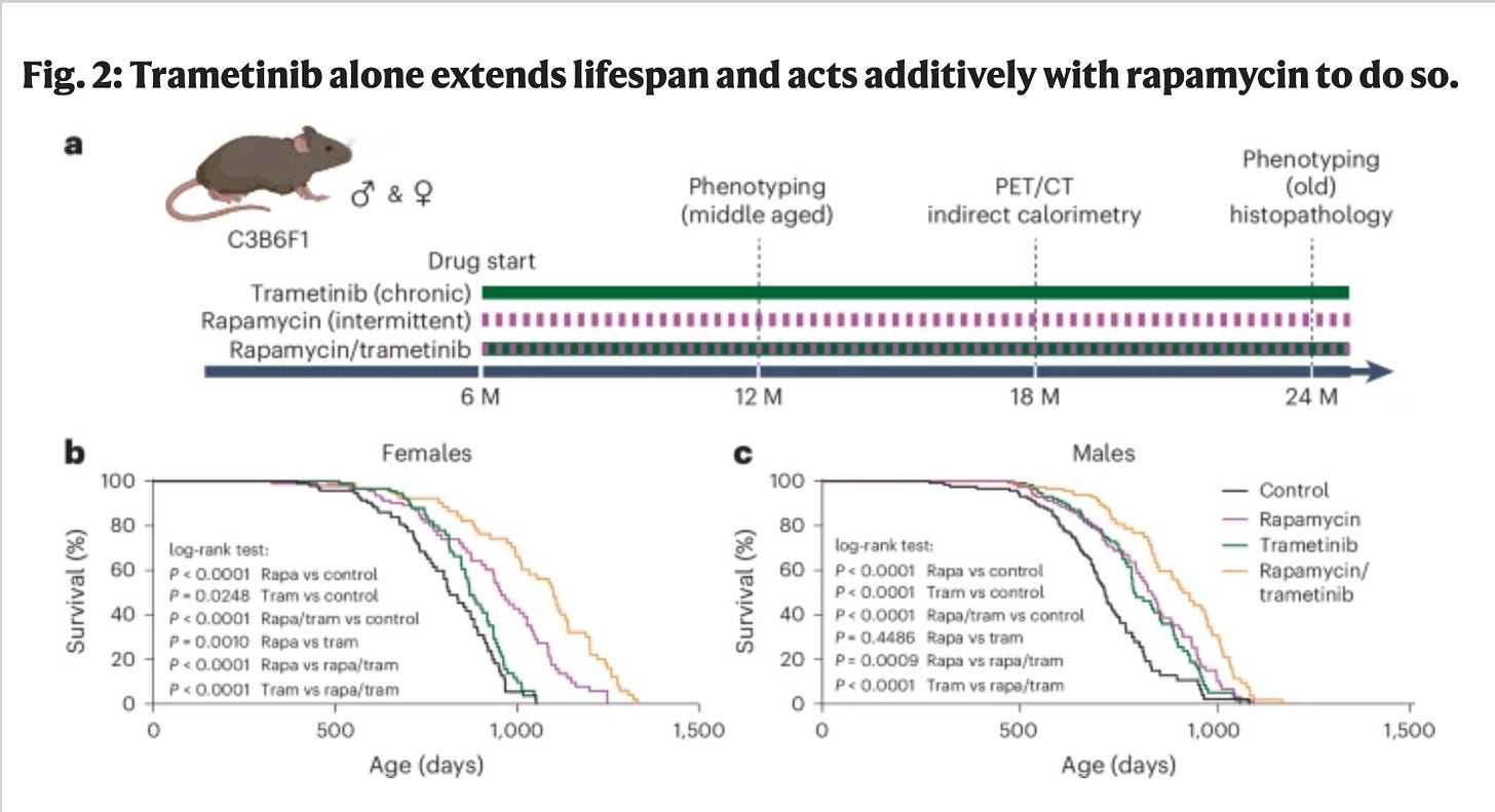 A graph of a person with a drug

AI-generated content may be incorrect.
