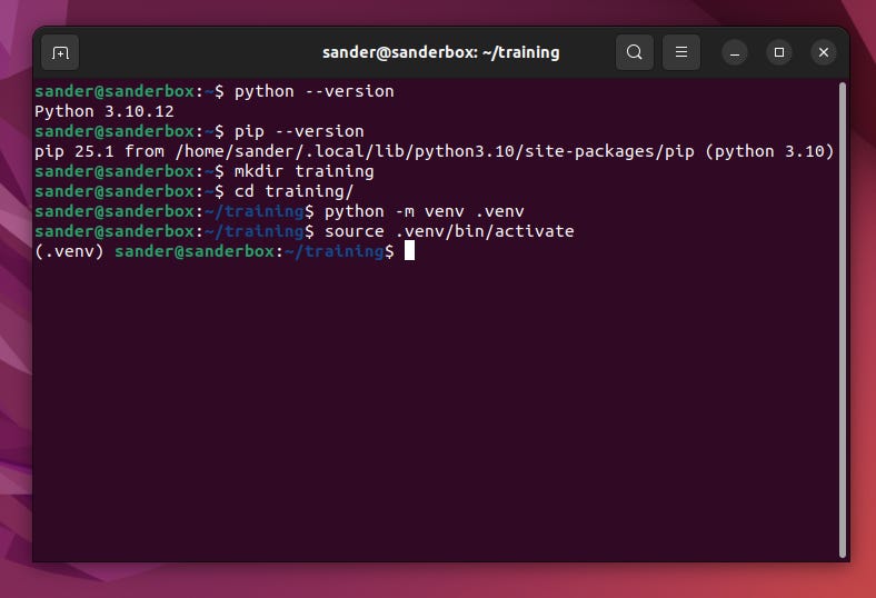 Deploying a custom YOLOv8 model on Raspberry Pi 5 with Hailo AI Hat+