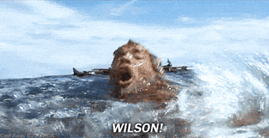 tom hanks wilson GIF by 20th Century Fox Home Entertainment ...