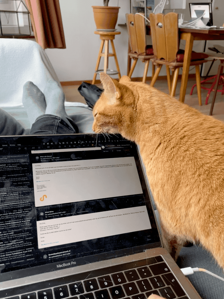 gifje van rode poes teddy die op schoot de laptop van lieven likt! gifje van rode poes teddy die op schoot de laptop van lieven likt!