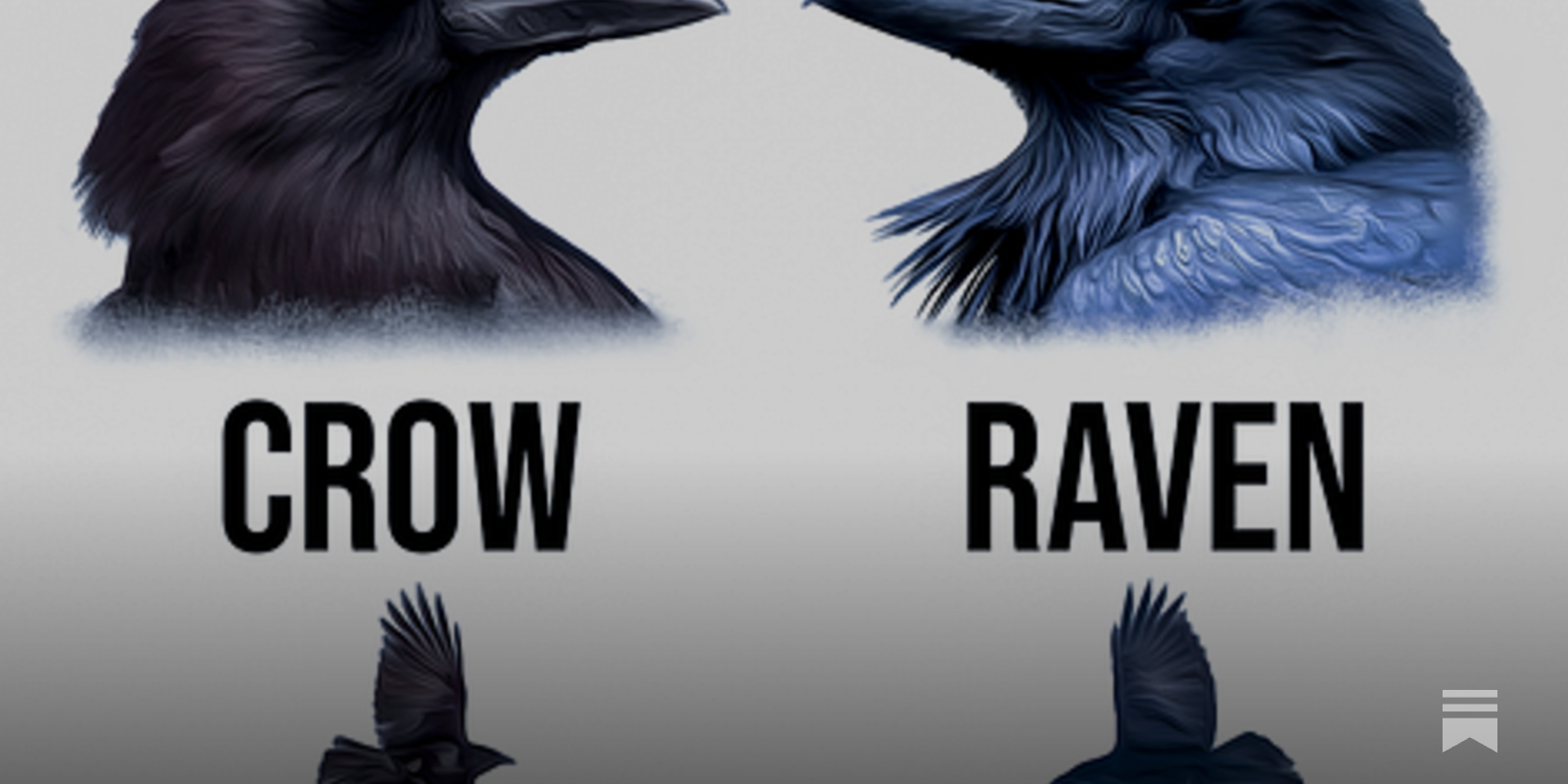 Green Wednesday: The Intelligence of Crows and Ravens + the Art of Grafting