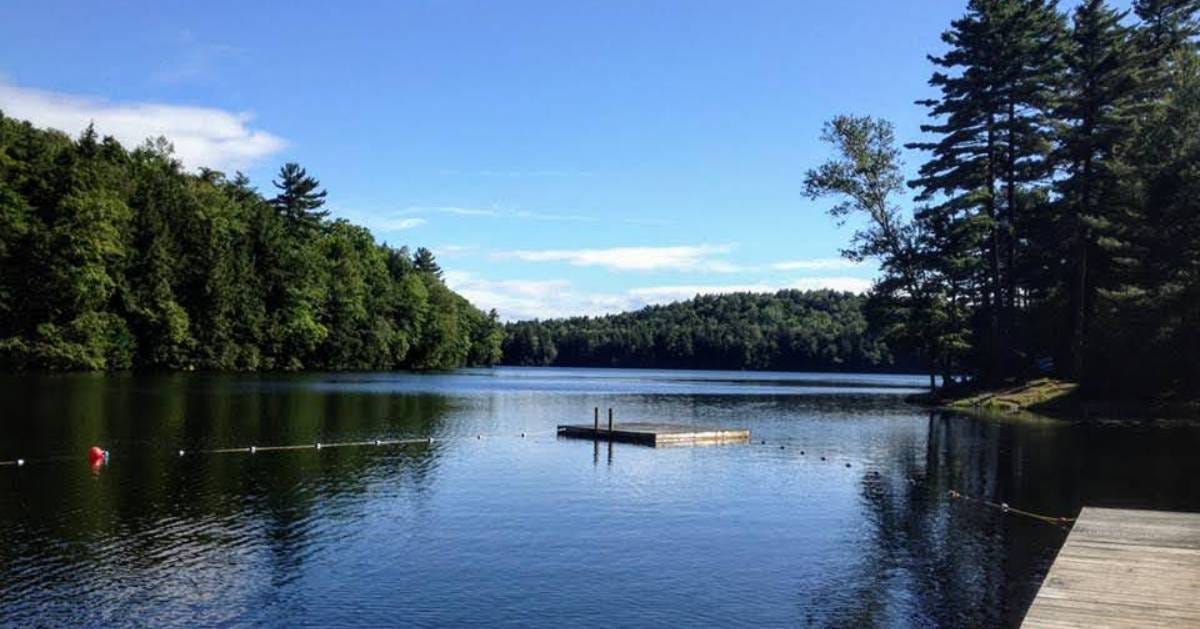 a lake with a floating dock surrounded by trees on both sides and a mountain in the distance.