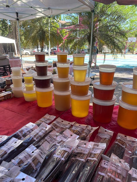 Fresh produce from the weekly San Pancho farmers' market