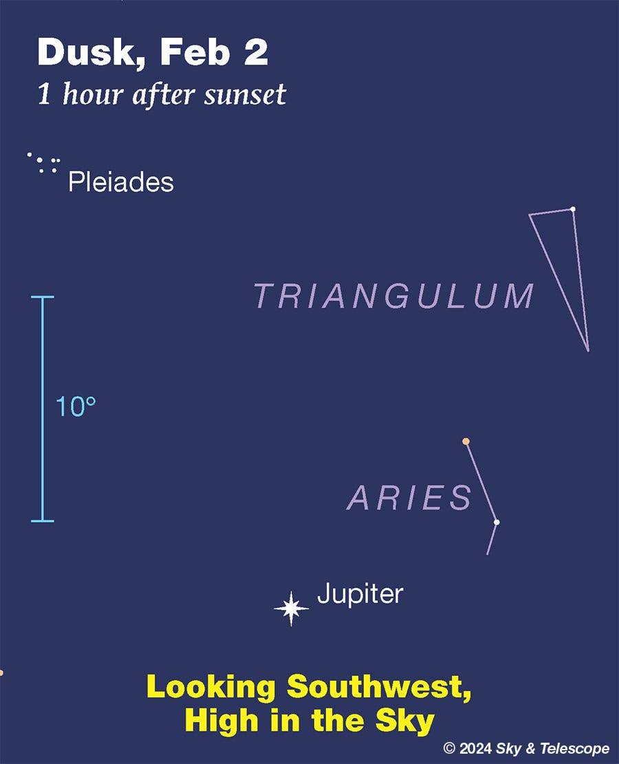 Jupiter at dusk, early Feb 2024