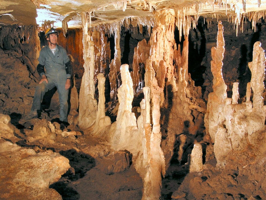 Image for Wild Cave Hike at Kickapoo Cavern SP