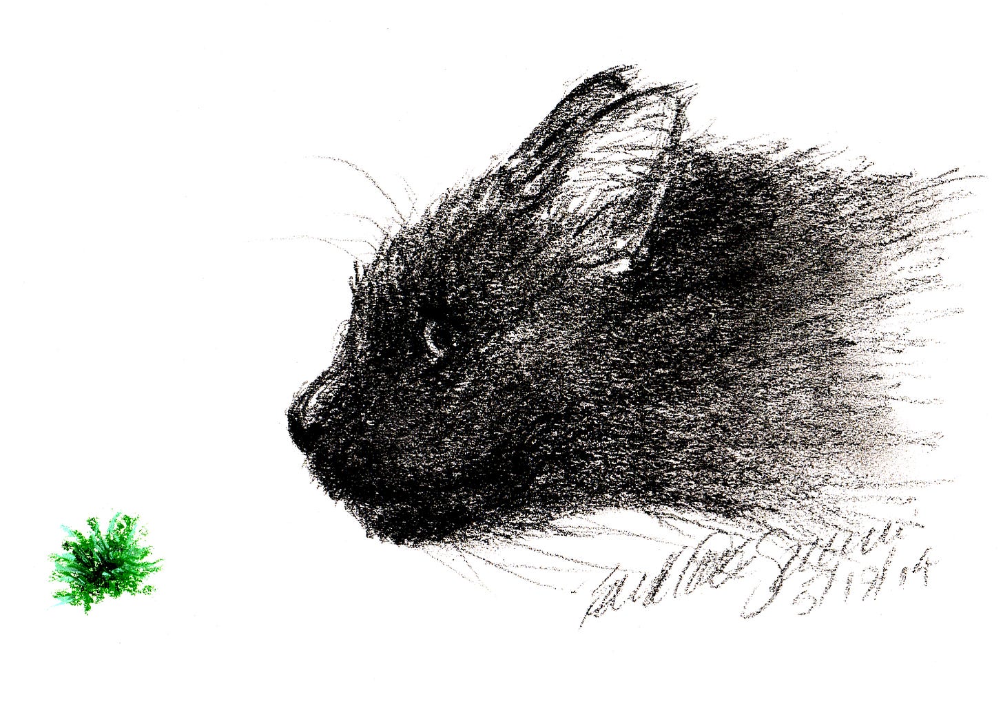 "Giuseppe and His Green Sparkle Ball", charcoal and pastel, 8.5" x 6" © Bernadette E. Kazmarski