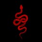 D I R O's avatar