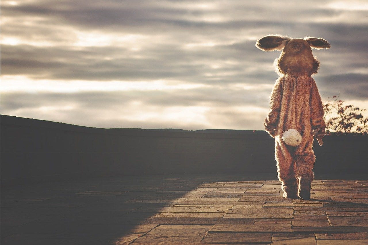 person in rabit suit staring at the horizon