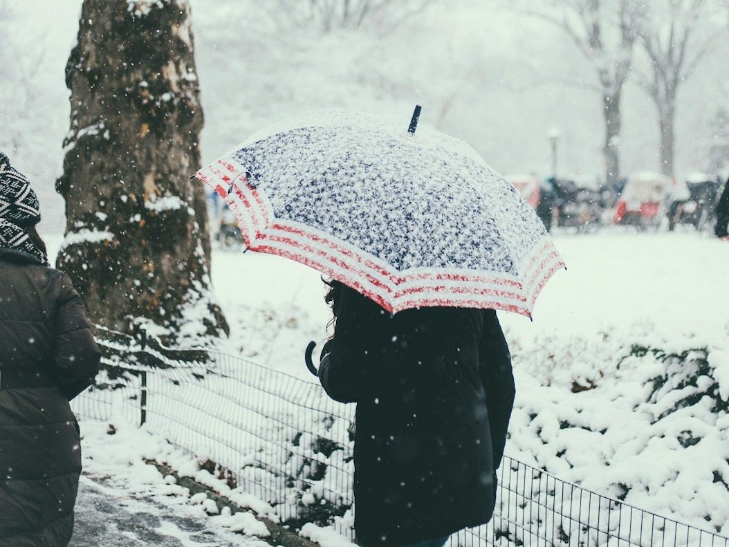 person walking while holding umbrella during snowy weather person walking while holding umbrella during snowy weather