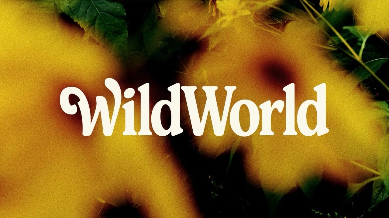 WildWorld branding by UnitedUs showing hand-stamped botanical design with yellow and green tones — combining organic fieldwork illustration with bold industrial sans serif typography and structured design system