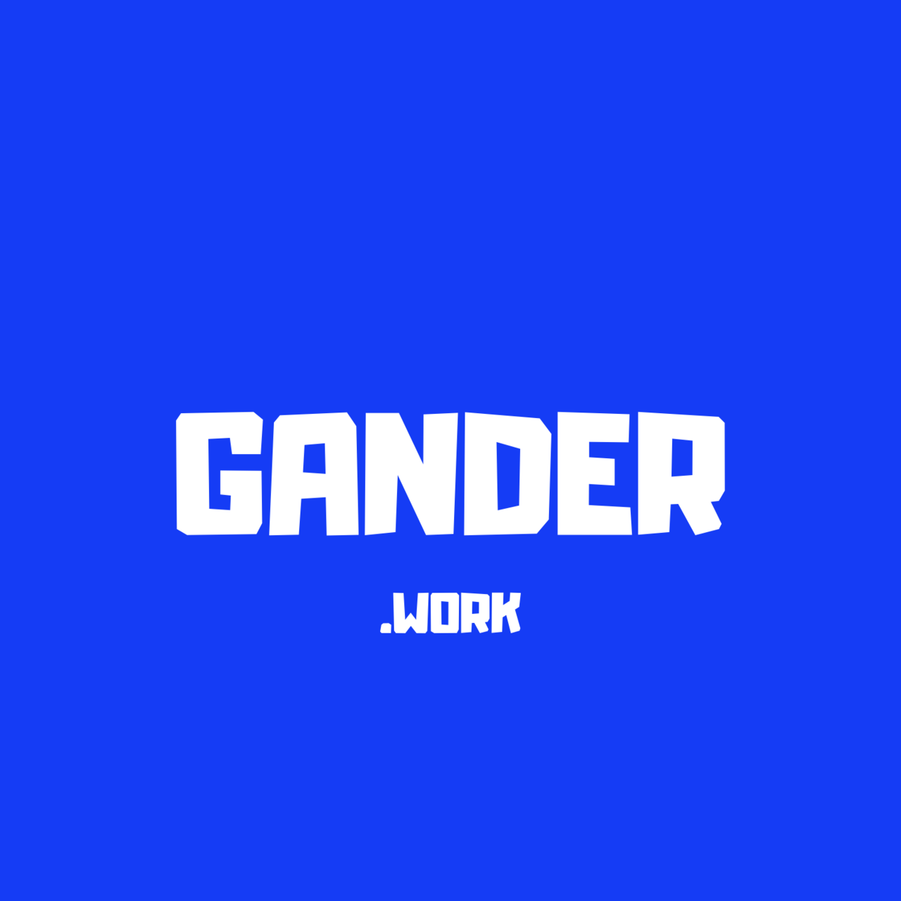 Substack profile picture for @gander