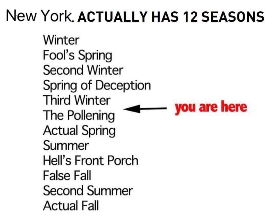 A list of 12 seasons of new york with an arrow pointed to 'The Pollening' A list of 12 seasons of new york with an arrow pointed to 'The Pollening'