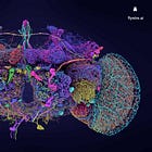 Relevante — episodio 182 🔦🥇🪰🚗