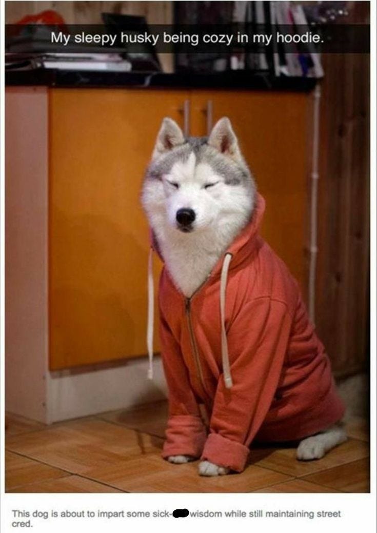 Wolf De Swardt