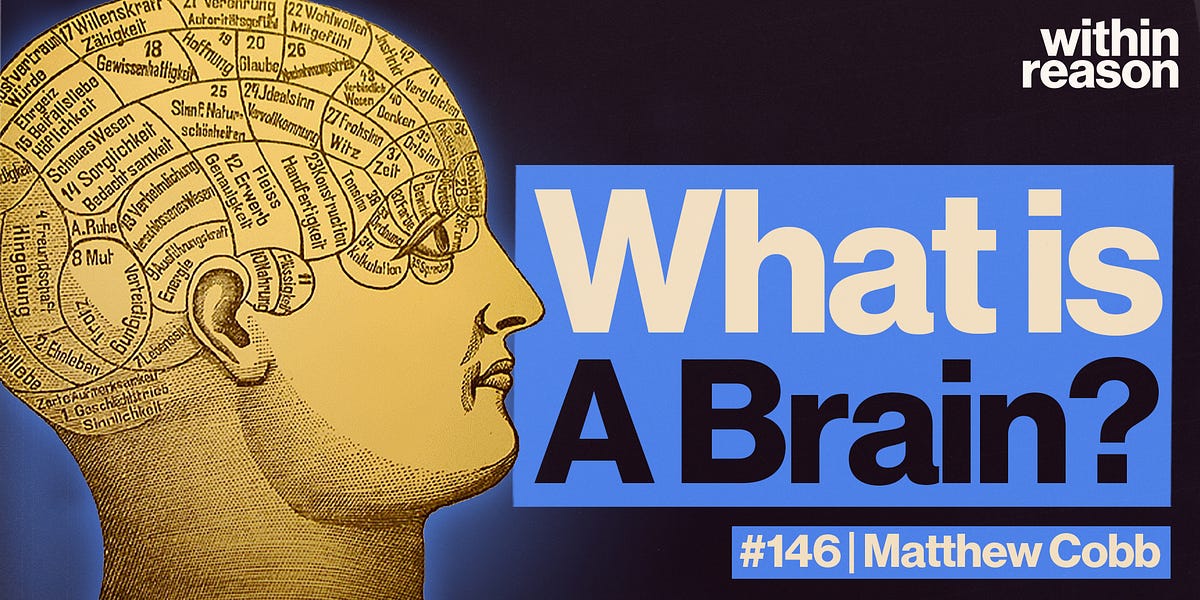 First Brain Thing The Most Complex Thing in the Universe: What is a Brain? - Matthew Cobb