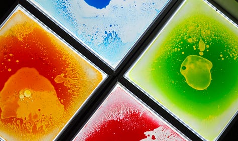 The Willows specialist school for autism in Lincoln