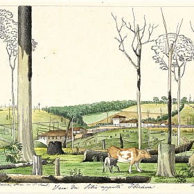 As primeiras obras de arte que mostram Piracicaba