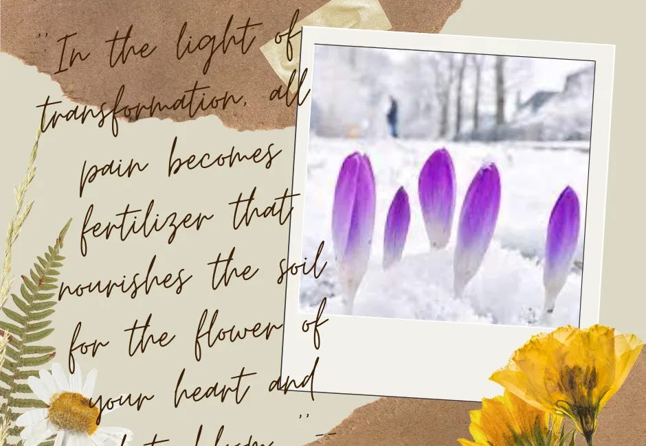 The Alchemy of Resilience