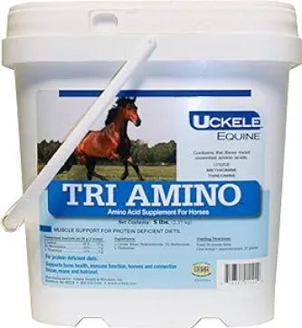 horse supplement