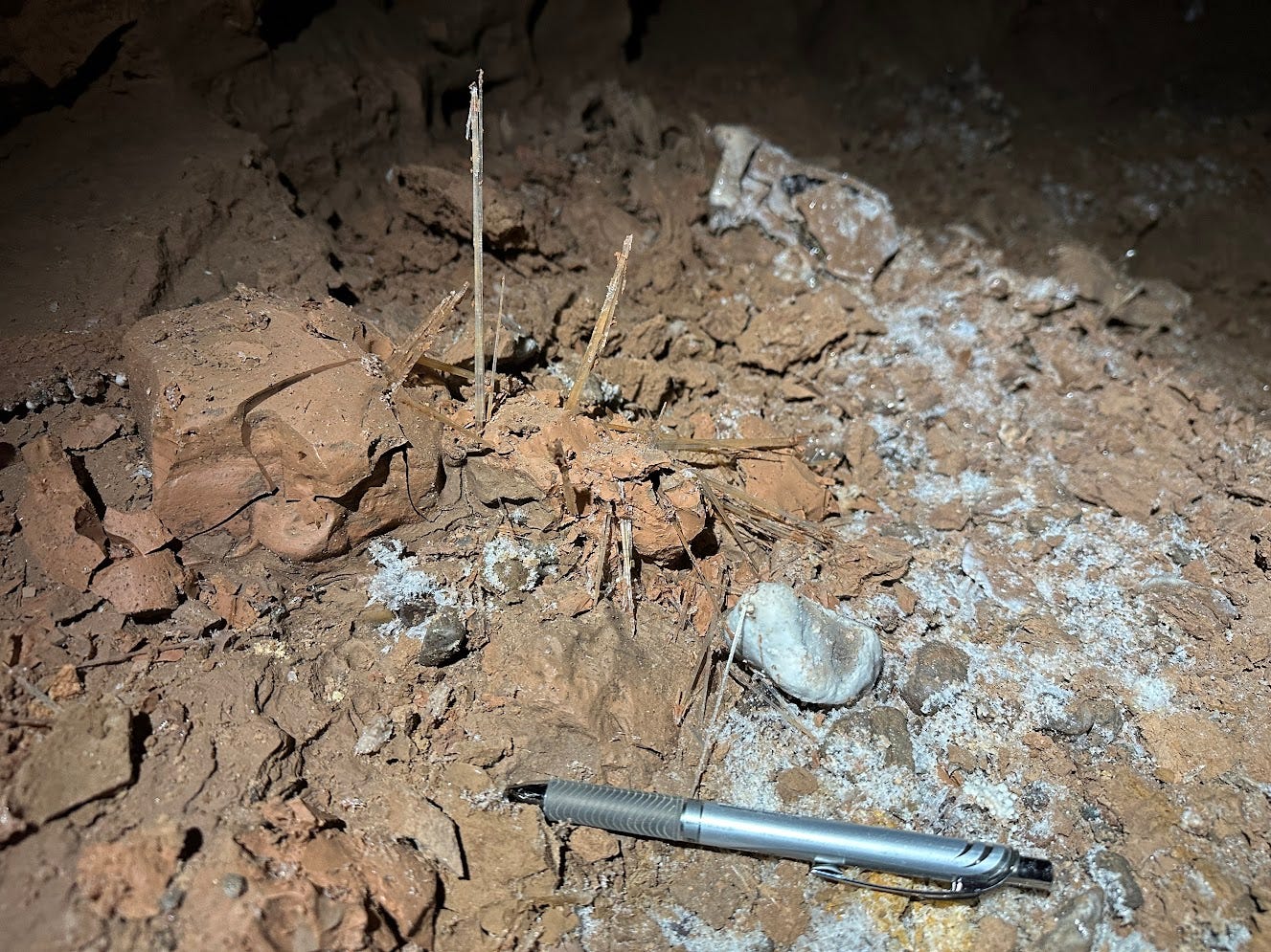 a clump of mud with gypsum needles embedded in it, sticking out at all different angles a clump of mud with gypsum needles embedded in it, sticking out at all different angles