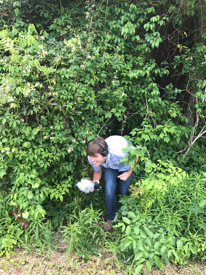 us in the thick brush