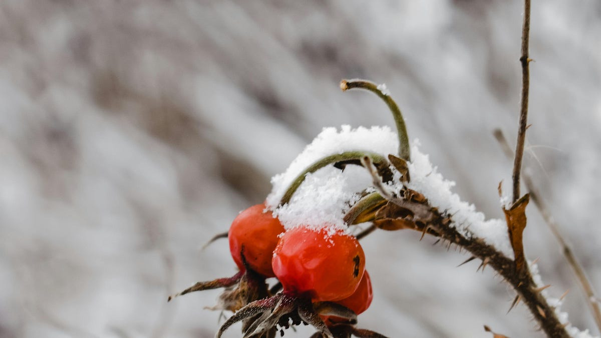 Long January Why January Feels Harder Than It Should - by Anita Felice
