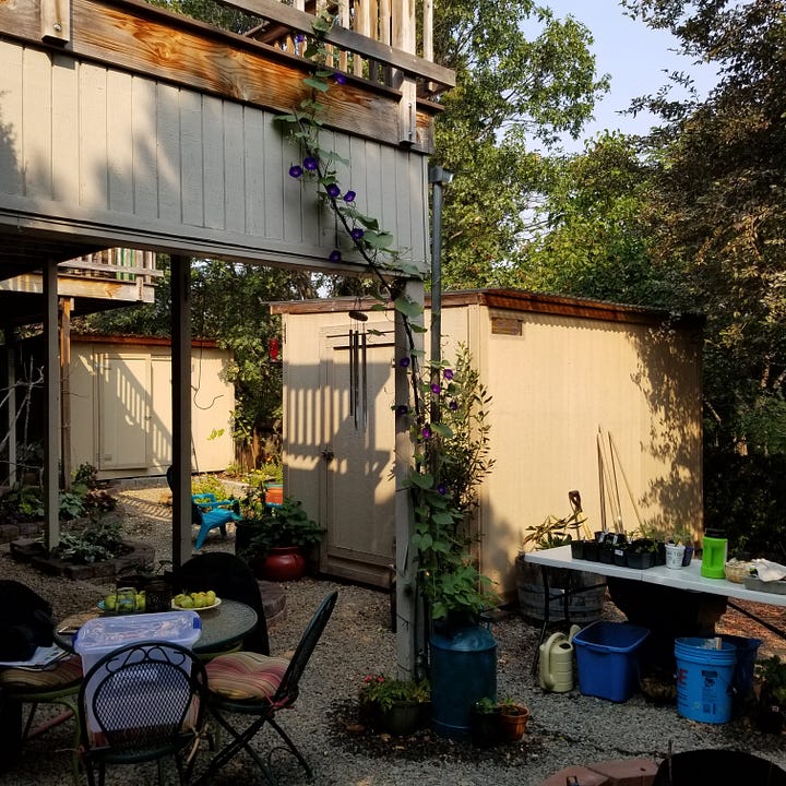pictures of an unpainted 8 x 10 garden shed, stripped to the basics.