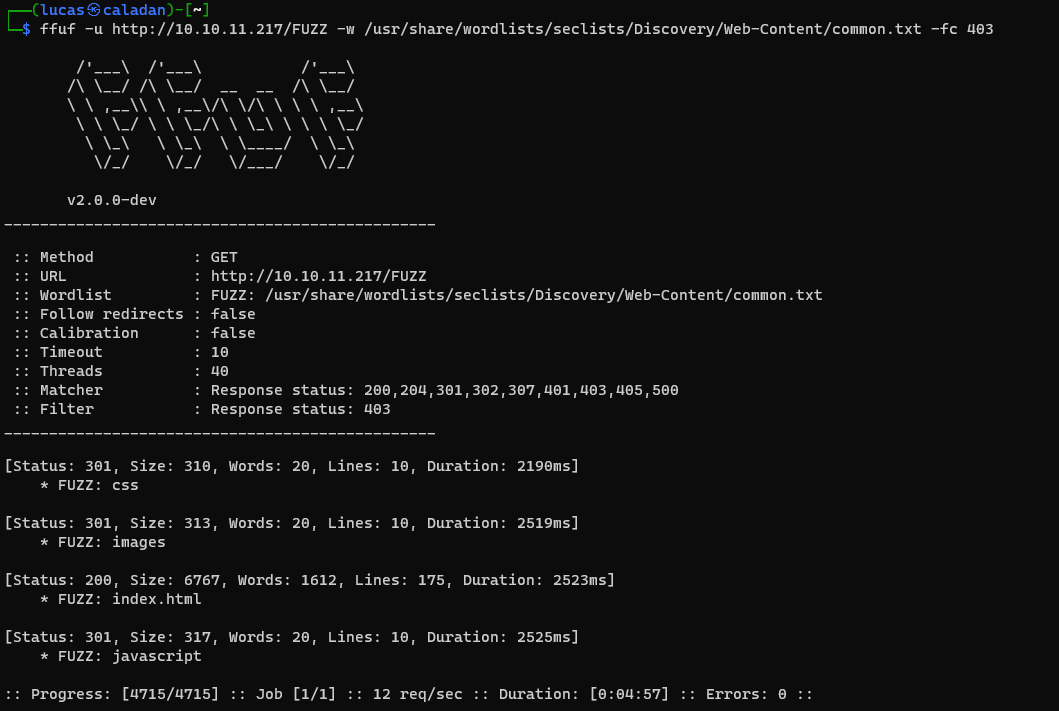 Directory brute-force