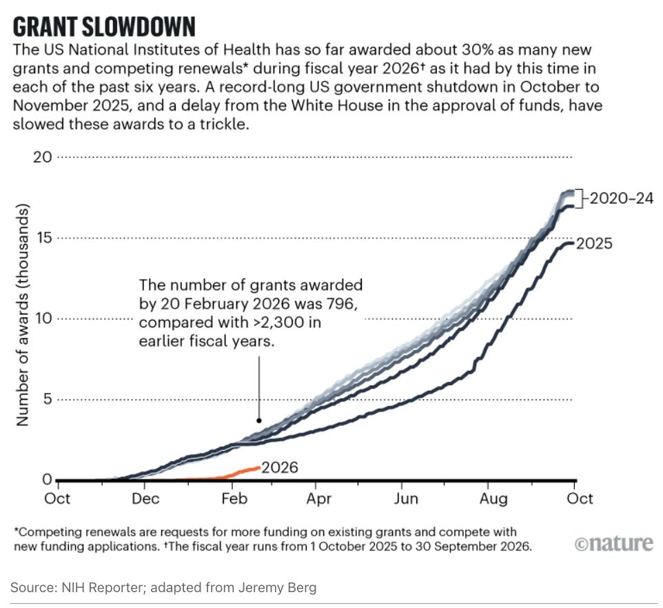 GRANT SLOWDOWN
The US National Institutes of Health has so far awarded about 30% as many new
grants and competing renewals* during fiscal year 2026+ as it had by this time in
each of the past six years. A record-long US government shutdown in October to
November 2025, and a delay from the White House in the approval of funds, have
slowed these awards to a trickle.
20
-2020-24
15
2025
The number of grants awarded
by 20 February 2026 was 796,
10
compared with >2,300 in
earlier fiscal years.
5
Number of awards (thousands)
2026
0
Oct
Dec
Feb
Apr
Jun
Aug
Oct
*Competing renewals are requests for more funding on existing grants and compete with
new funding applications. +The fiscal year runs from 1 October 2025 to 30 September 2026.
onature
Source: NIH Reporter; adapted from Jeremy Berg GRANT SLOWDOWN
The US National Institutes of Health has so far awarded about 30% as many new
grants and competing renewals* during fiscal year 2026+ as it had by this time in
each of the past six years. A record-long US government shutdown in October to
November 2025, and a delay from the White House in the approval of funds, have
slowed these awards to a trickle.
20
-2020-24
15
2025
The number of grants awarded
by 20 February 2026 was 796,
10
compared with >2,300 in
earlier fiscal years.
5
Number of awards (thousands)
2026
0
Oct
Dec
Feb
Apr
Jun
Aug
Oct
*Competing renewals are requests for more funding on existing grants and compete with
new funding applications. +The fiscal year runs from 1 October 2025 to 30 September 2026.
onature
Source: NIH Reporter; adapted from Jeremy Berg