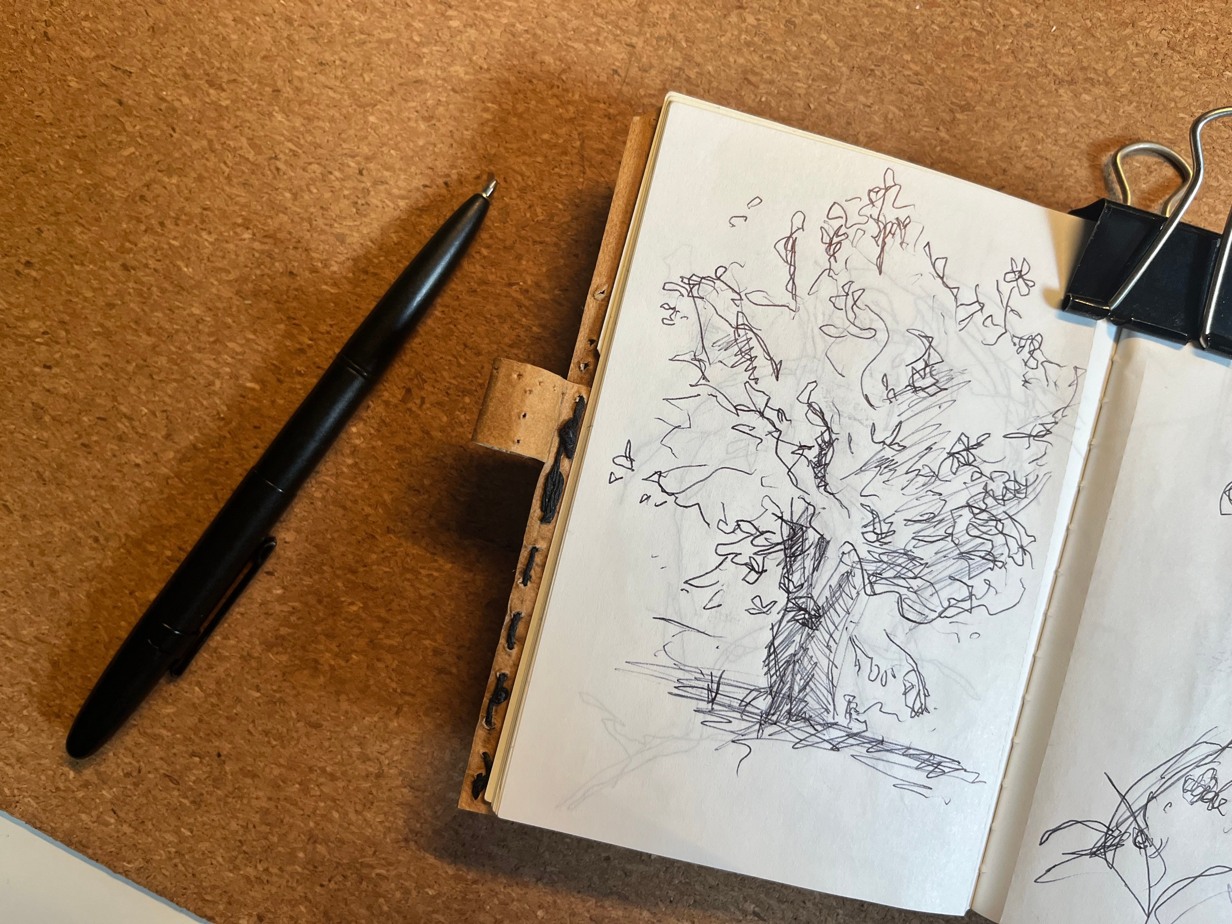 A ballpoint pen sketch of a tree. It's very loose, with lots of scribbly lines.