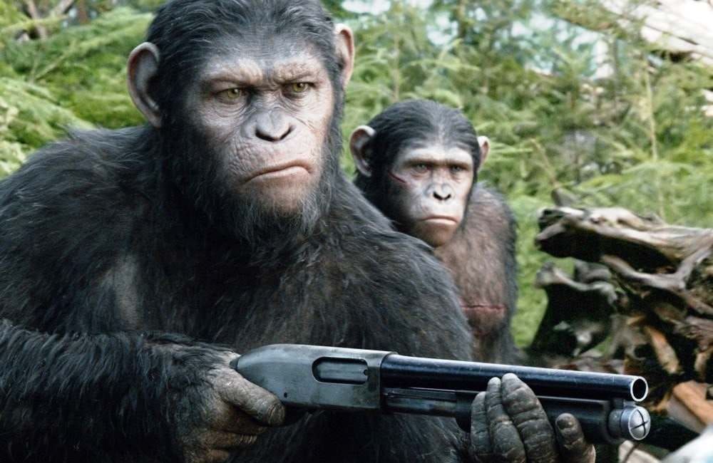 Pfizer Vaccines in Canada contaminated with Simian Virus, according to Health Canada 