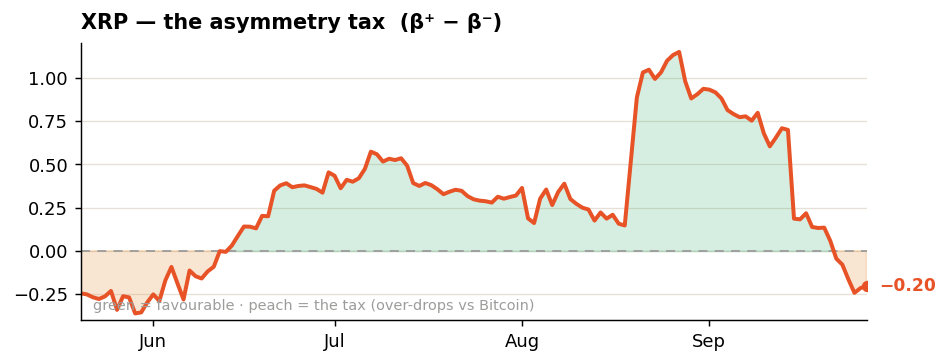 XRP asymmetry tax hayloo beta desk XRP asymmetry tax hayloo beta desk