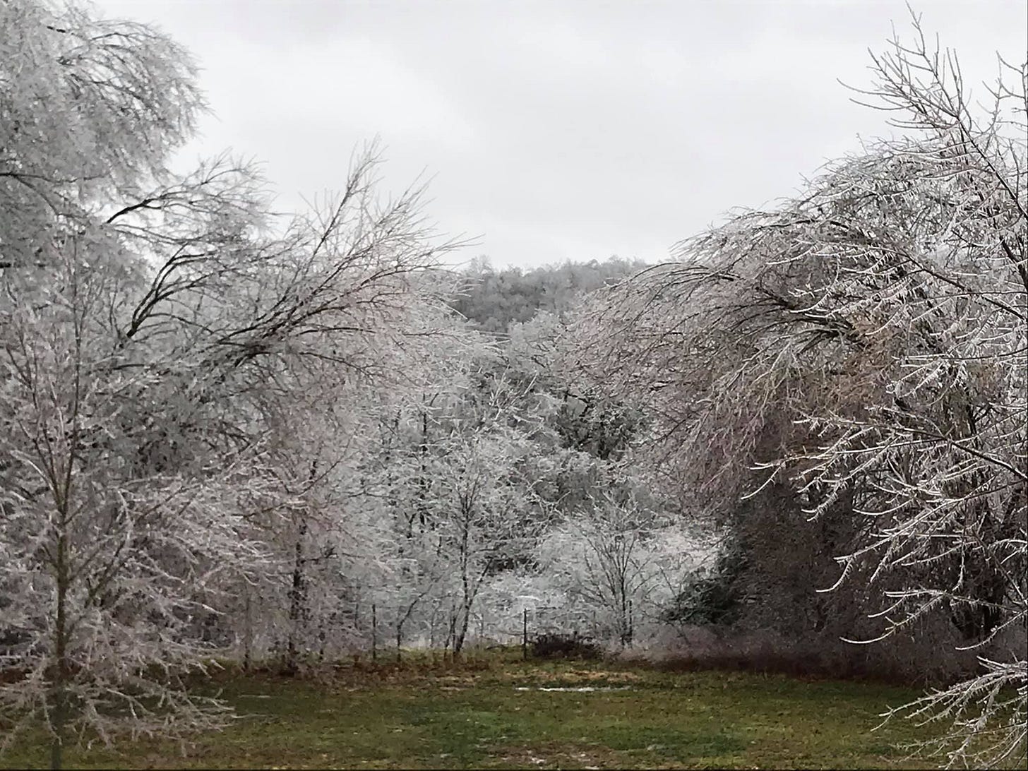 No photo description available.