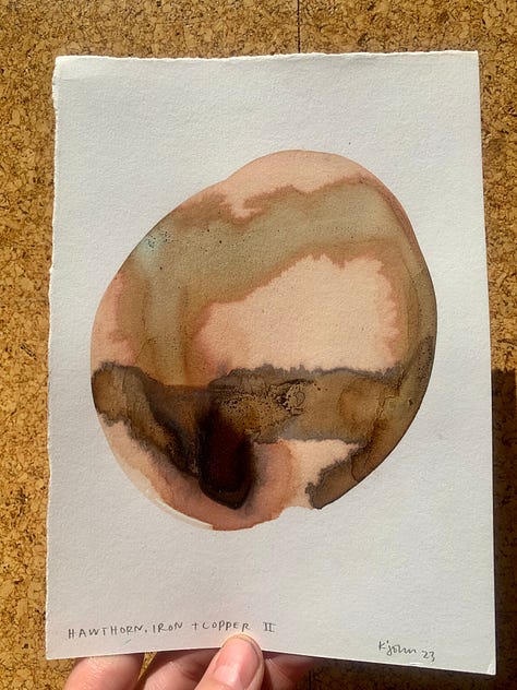 Original inkwork on paper. Hawthorn with iron rust and copper pipe.