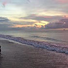 How we walk our dog: Tools, terminology, and more