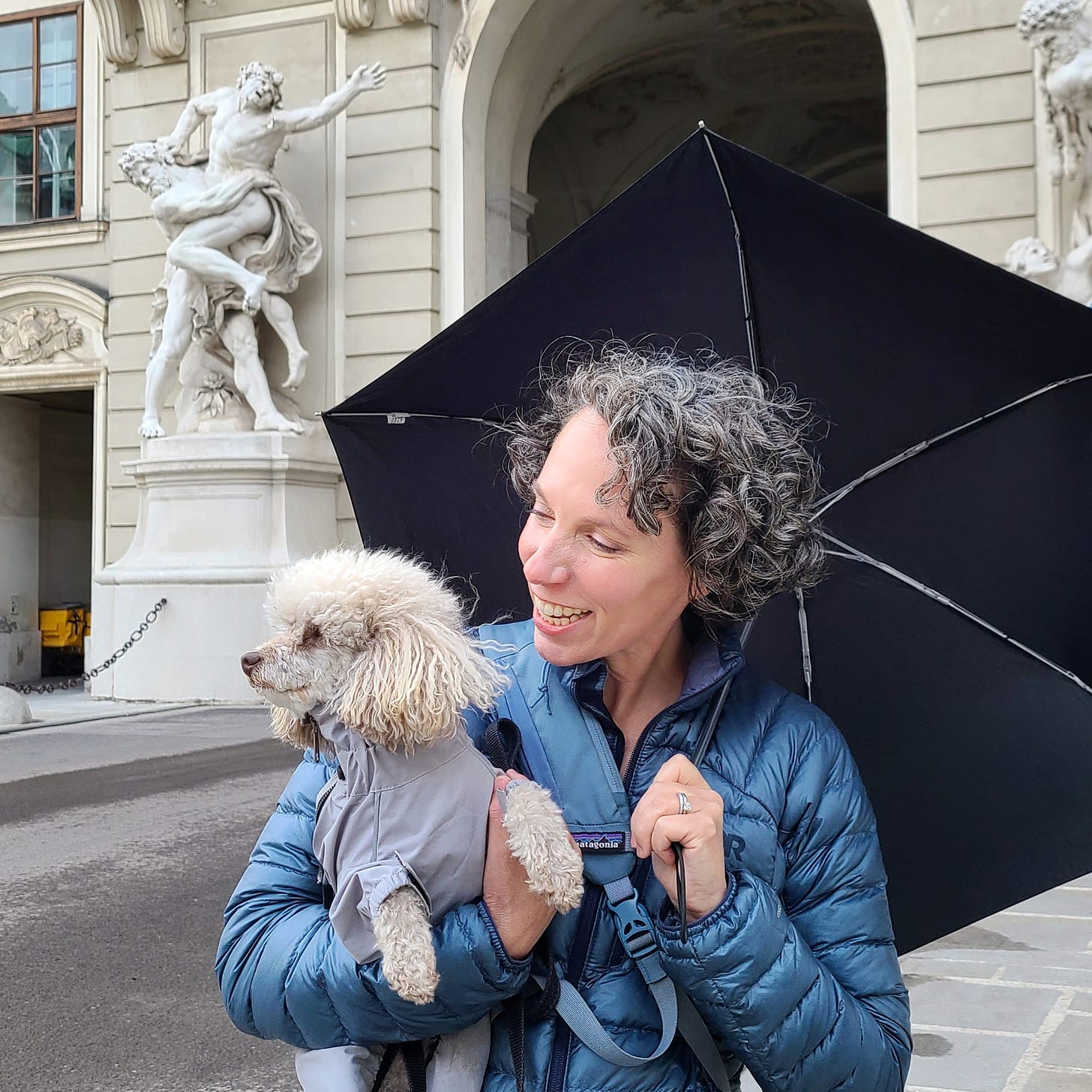 Vienna Vienna