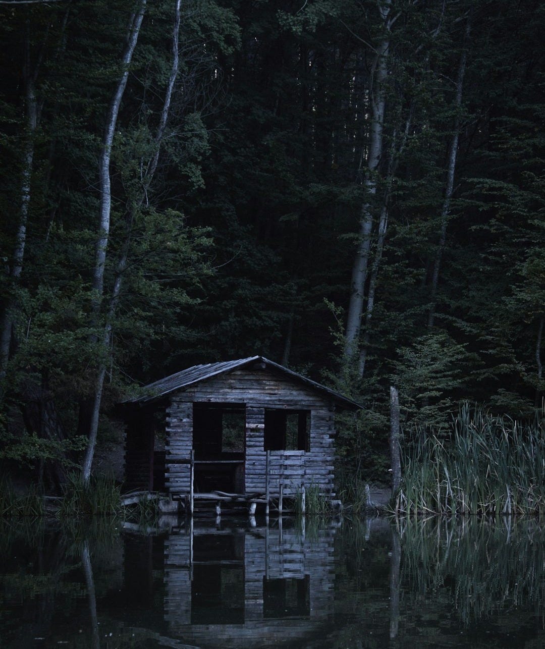 brown wooden house on lake surrounded by trees during daytime brown wooden house on lake surrounded by trees during daytime