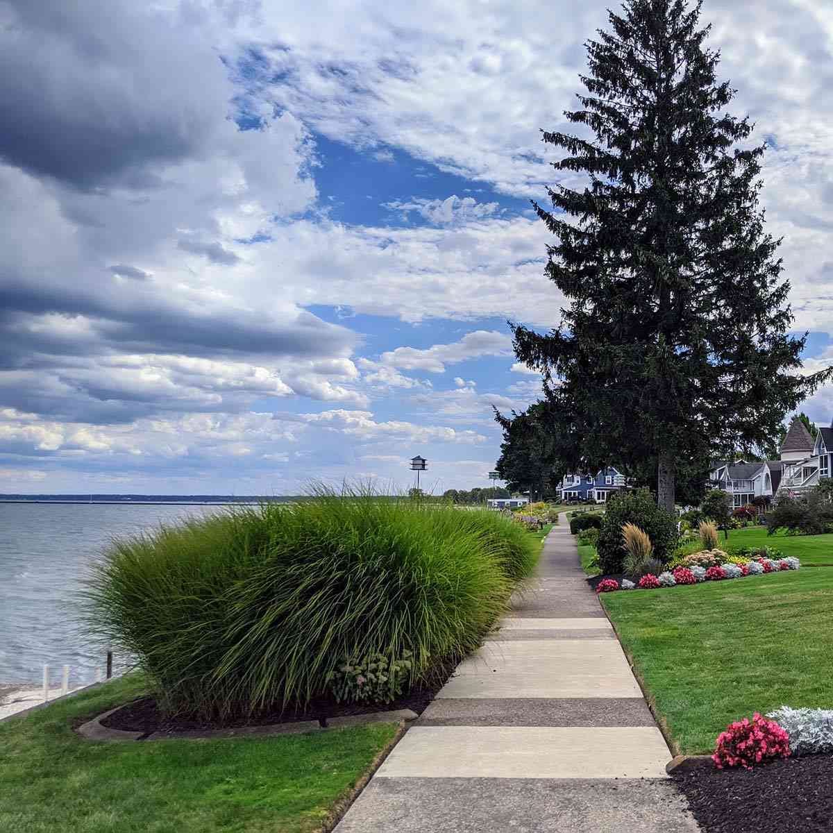 Rochester Secret Hidden Sidewalk Rochester Secret Hidden Sidewalk