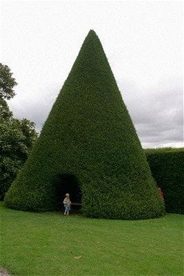 Various examples of topiary design, from ancient Rome to suburban California.