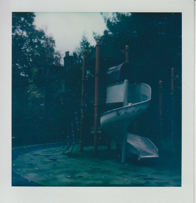 Polaroid of curley slide at Alpine Gardens Park, Central Northside.